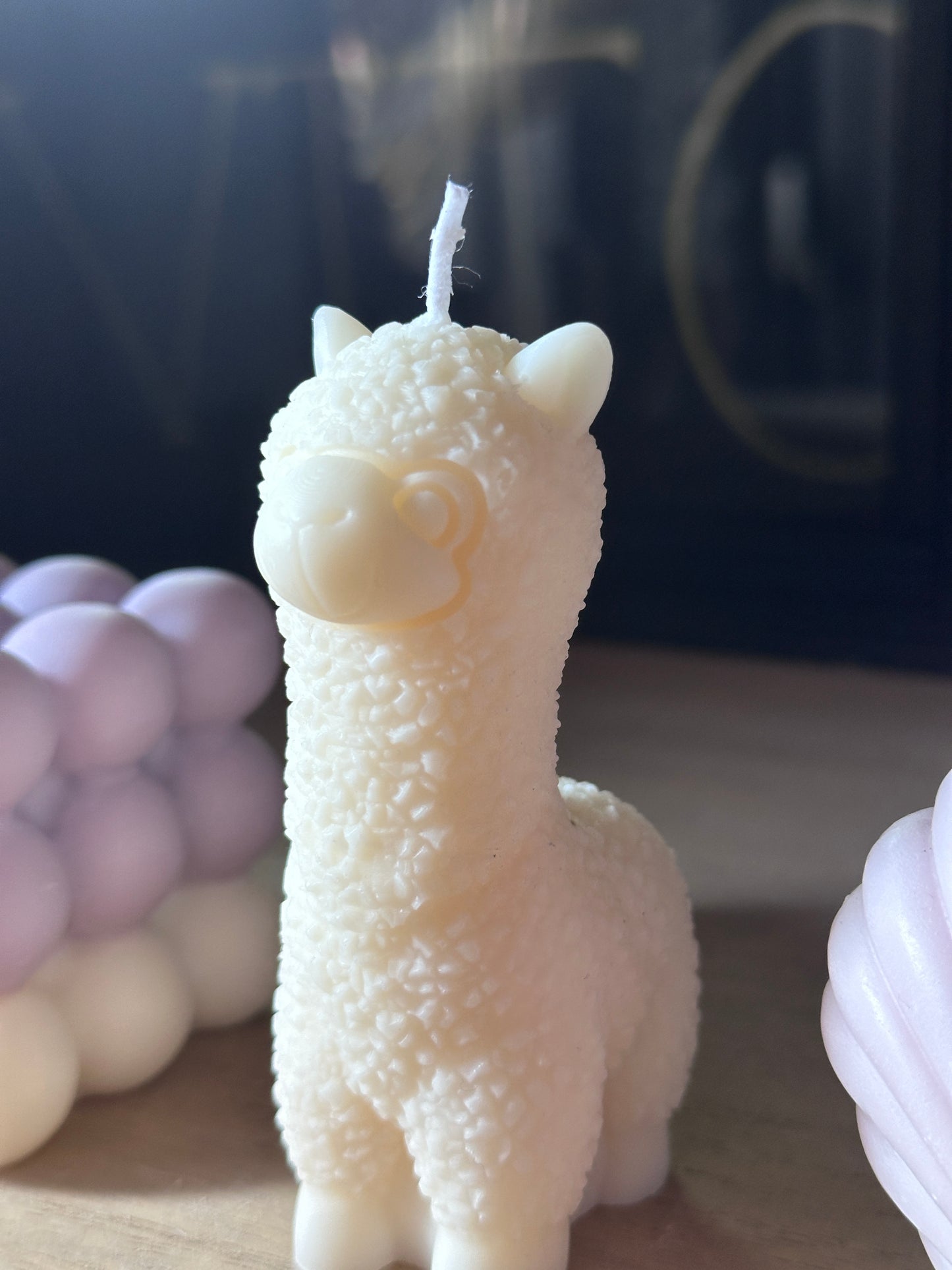 Alpaca