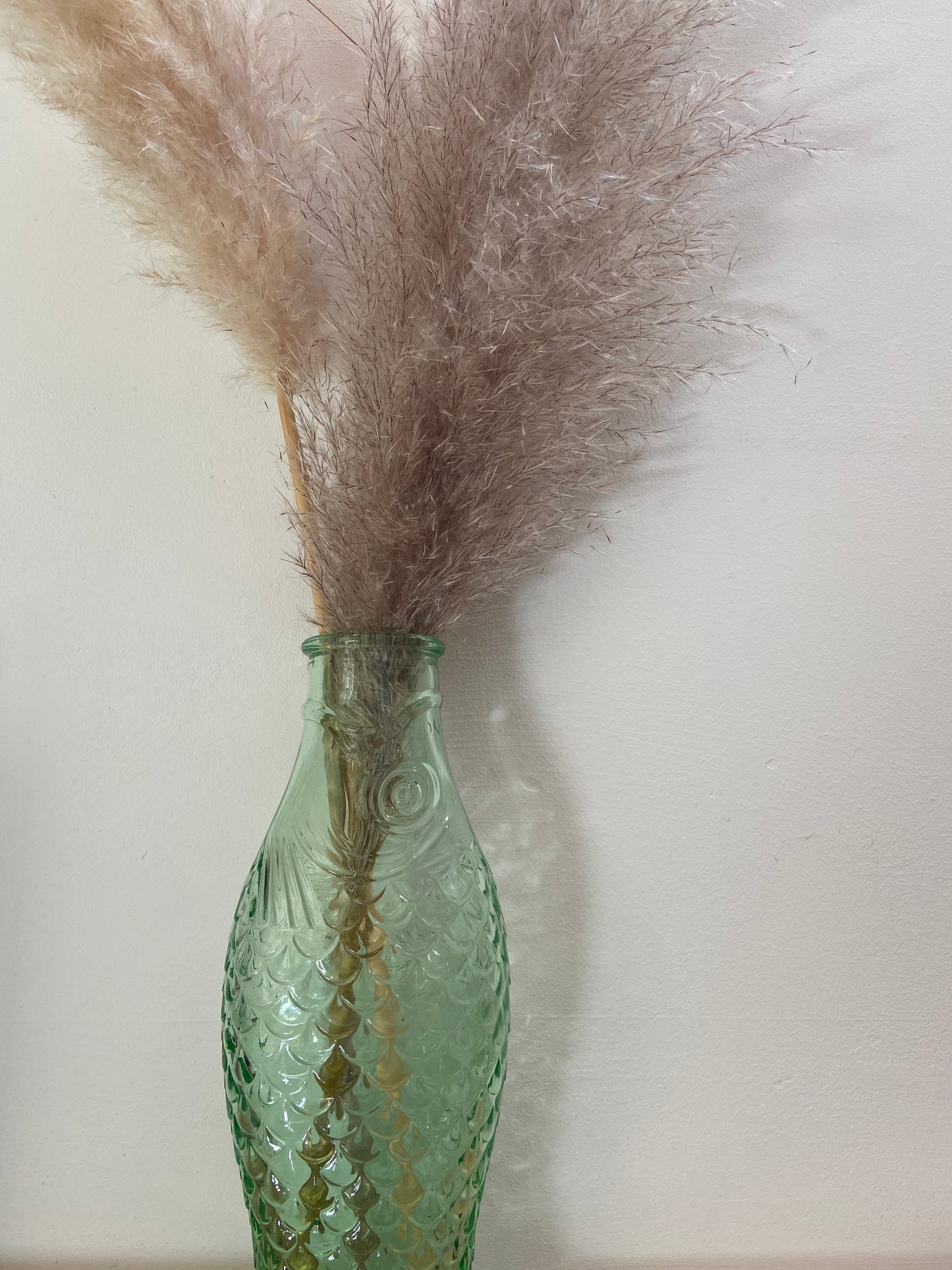 Karaf Fish